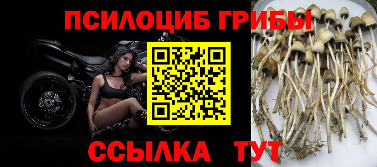 Челябинск  Псилоцибиновые грибы GOLDEN TEACHER  Вход с VPN 